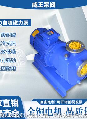 工厂优质自吸泵ZCQ32-25-115不锈钢304耐腐蚀化工磁力泵