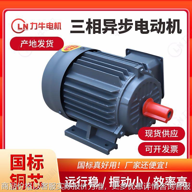 三相异步电动机YE2-250M-6-37w 传输机械设备电动机调速电动机