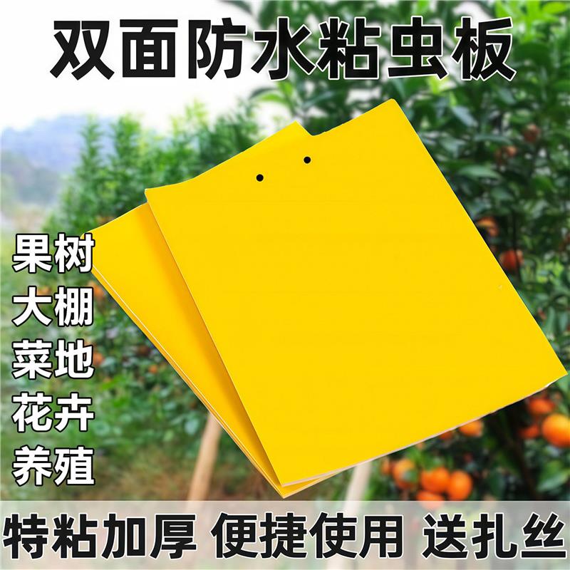 双面粘虫板贴纸强力灭杀小飞虫沾果蝇诱捕神器捉蚊子苍蝇大棚黄板