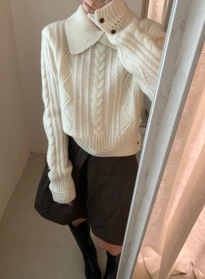 2025秋冬新款翻领绞花羊毛毛衣女高级感加厚内搭打底针织衫上衣