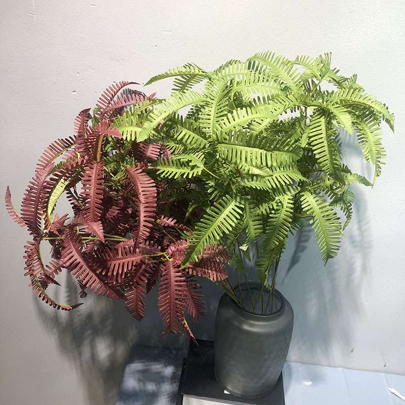 仿真小蕨叶波斯草排草蕨类植物蕨叶蕨草植物墙配材山芒森系芒蕨叶