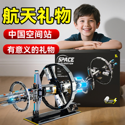 高难度拼装积木男孩生日礼物