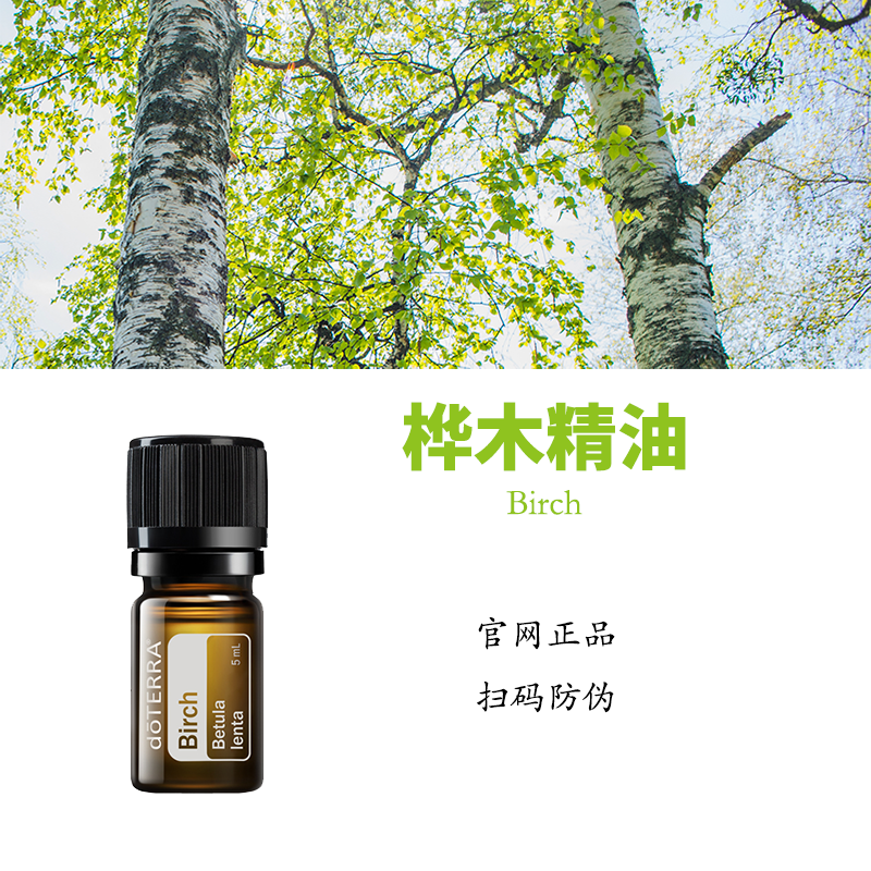 多特瑞桦木精油官网正品