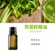 多特瑞芹菜籽精油单方净化白皙肌肤香薰按摩doTERRA官网正品 15ML