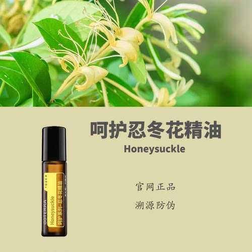 多特瑞呵护忍冬花精油金银花