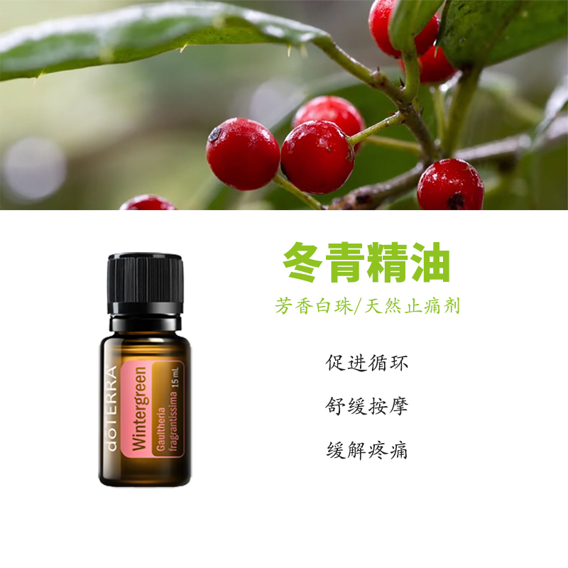 多特瑞冬青精油官网正品顺丰包邮