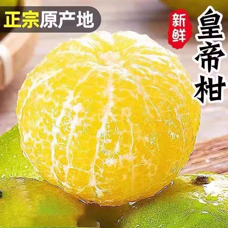 【官方推荐】新鲜采摘广西皇帝柑