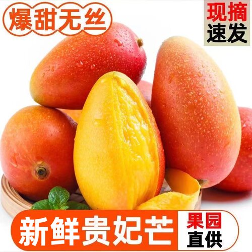 【官方推荐】海南三亚贵妃芒果
