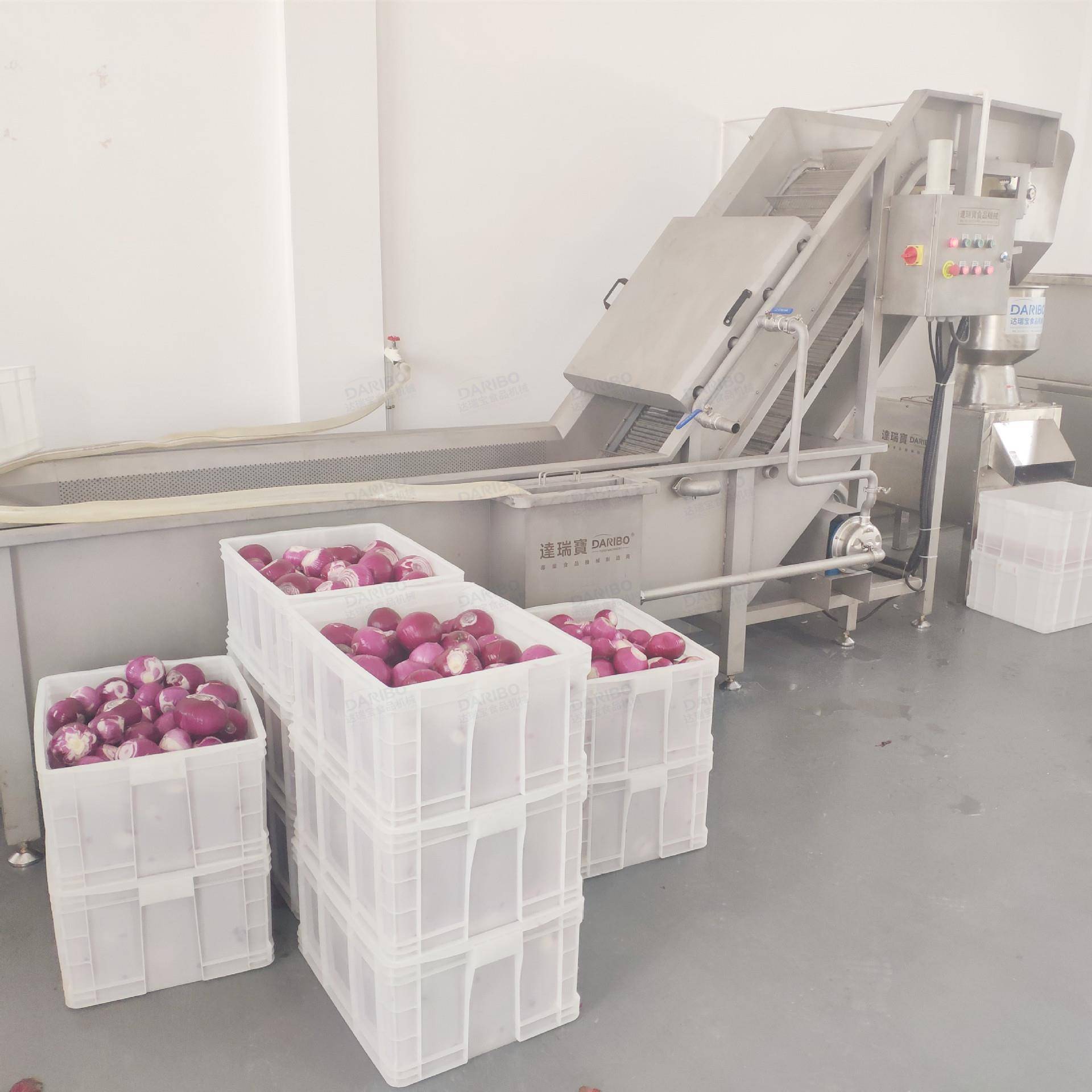 *全自动网链式提升清洗机 商用洋葱芹菜气泡喷淋清洗提升设备