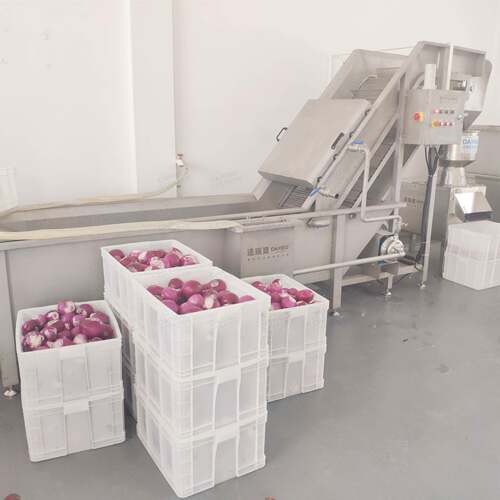 *全自动网链式提升清洗机 商用洋葱芹菜气泡喷淋清洗提升设备