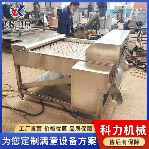 秋刀鱼切段机器 鱼类切块设备 带鱼切段机 可根据尺寸切鱼块