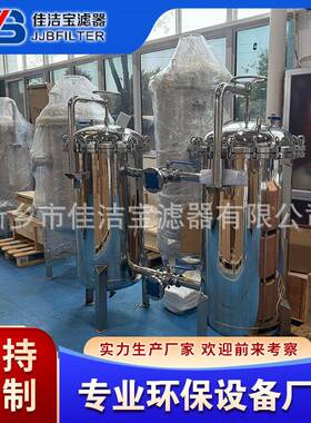 佳洁滤器 船舶压载水大流量过滤器 处理量 40m³/h 管径 DN65