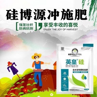 硅博源甜密码 颗粒硅肥冲施肥果树蔬菜绿植水稻强茎壮杆减少病虫害