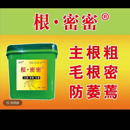 根密密 主根粗 毛根密 防萎蔫 生根 壮棵