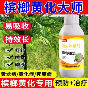 灵玬农用叶面肥槟榔树黄化药槟榔黄叶病黄龙喷洒专用生物肥料促长