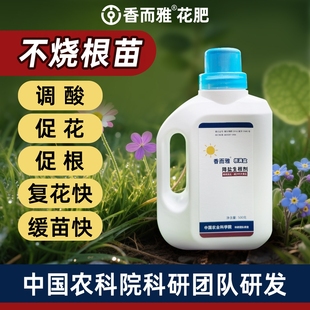农科院研发香而雅根满盆 降盐碱生根调酸爆花复花快克服焦尖僵苗