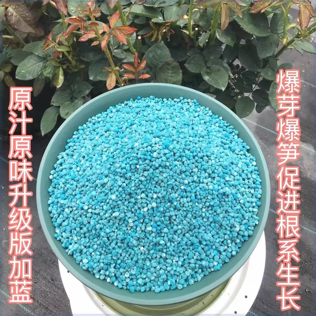 月季花专用高钾肥爆笋爆花爆根促进根系生长氮肥料花卉专用复合肥