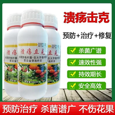 溃疡击克柑橘溃疡病专用药疮痂病炭疽病砂皮病黑星病柑橘果树专用