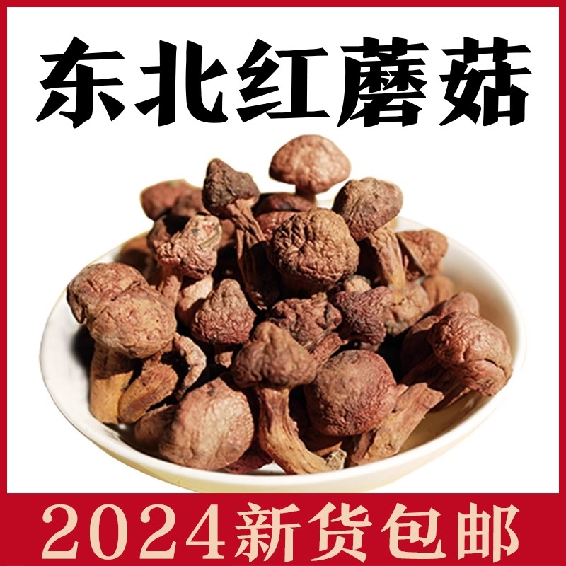东北土特产新货野生红蘑菇松树伞钉红松伞松蘑食用菌干货250g
