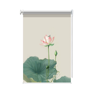 遮光卷帘遮阳帘隔热防晒书房客厅办公室卧室升降卷拉式免打孔窗帘