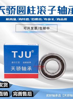 哈尔滨天骄轴承NJ203 NJ204 NJ205 NJ206 NJ207 NJ208 EM替代进口