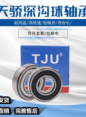 天骄轴承  6026 6028 6030 6032 6034 6036Z ZZ M C3