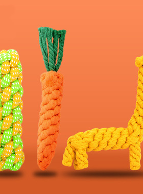 狗狗玩具磨牙棒耐咬绳结幼小中型犬拖鞋泰迪金毛比熊解闷宠物用品