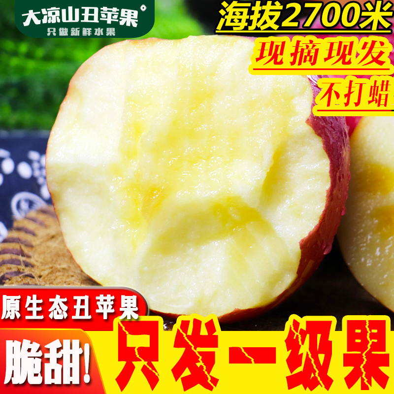四川盐源大凉山丑苹果水果新鲜红富士当季整箱冰糖心野生一级脆甜(用5元券)