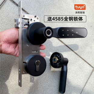 密码 日本品质涂鸦智能锁球形一握开办公室家用木门指纹锁分体式 电