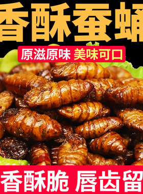 山东特产香酥蚕蛹五香蚕蛹淄博烧烤蚕蛹麻辣蚕蛹香辣蚕蛹开袋即食