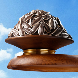 薛记炒货 原香瓜子500g/袋大黑原味五分熟瓜子袋装家庭聚会零食