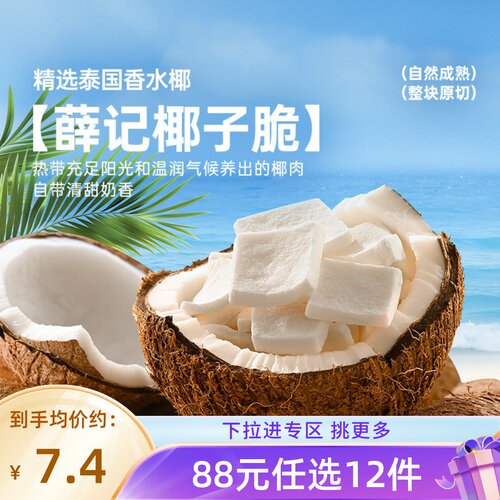 薛记炒货冻干椰子脆28g