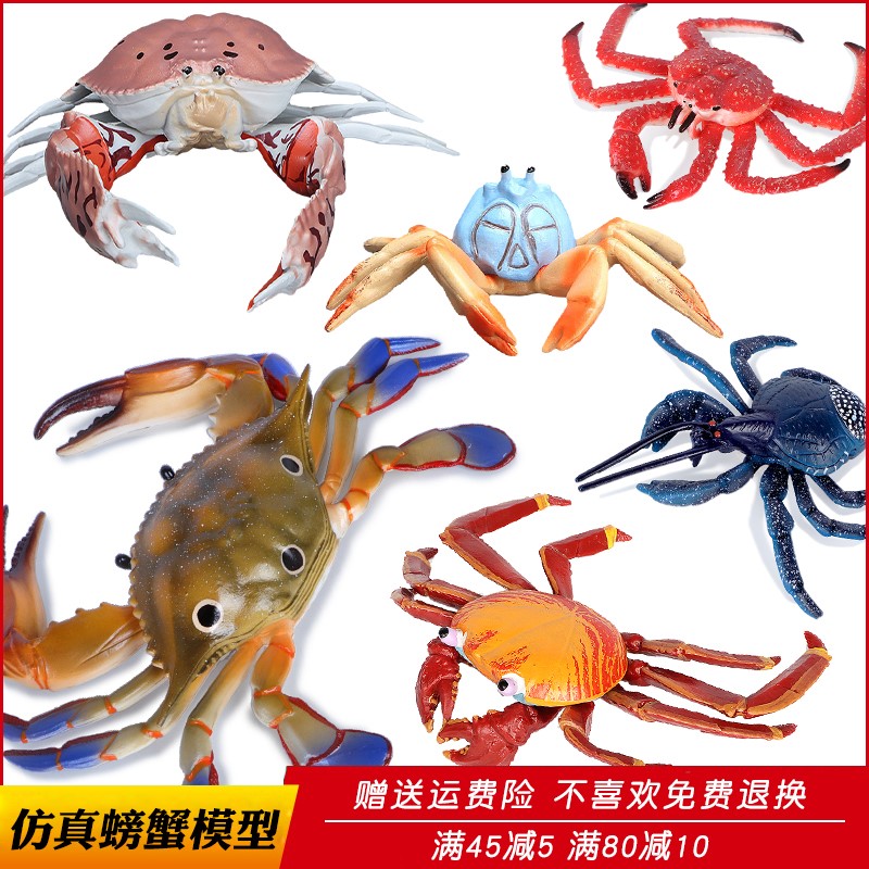 仿真海洋动物梭子蟹螃蟹模型玩具帝王蟹椰子蟹大号儿童认知礼物