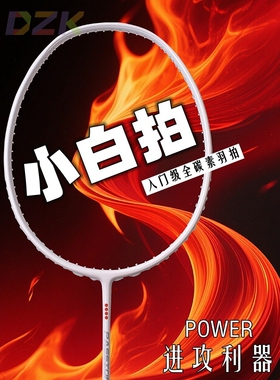 羽毛球拍均衡之刃正品轻量4u全碳素成人羽毛球拍学生课修专用球c2