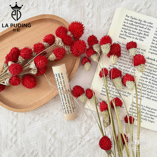 LA朴町 饰品资材 千日红鲜花花束搭配仿真永生花手工花艺diy礼物装