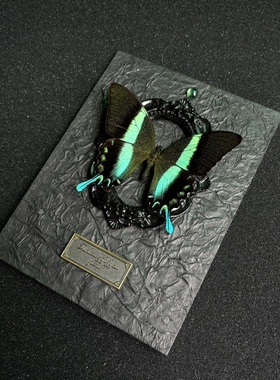 爱神凤蝶蝴蝶标本infp暗黑复古亚文化家居摆件ins小众情侣礼物