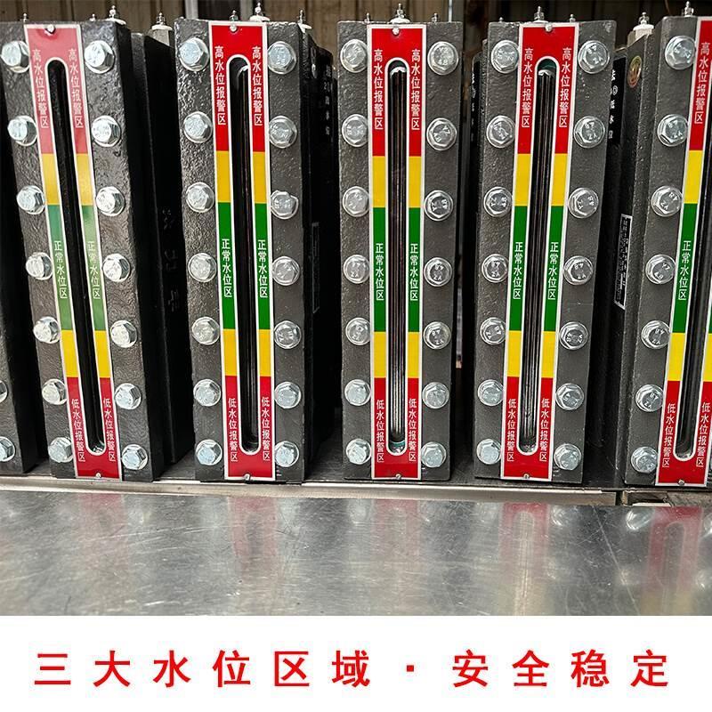 蒸汽发生器众力丰液位计水位计电极式液位传感器管接式传感型探针