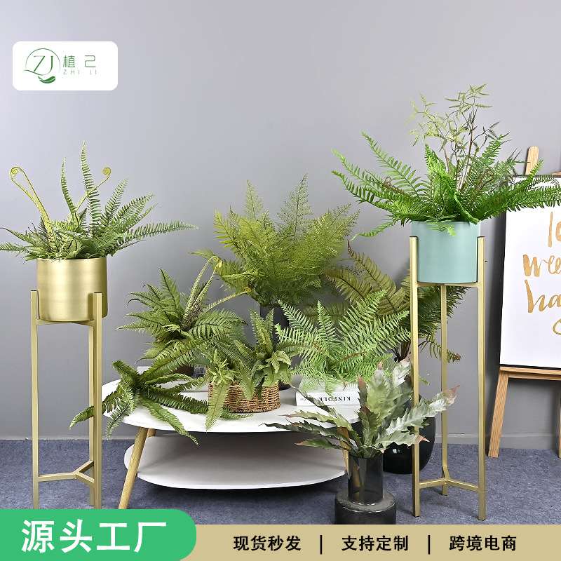 仿真蕨草 厂家 植物墙软装造景插花叶材假绿植波斯草凤尾蕨叶