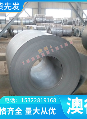 奥地利百禄 S290 S390 S600 S590PM S690PM S790PM 粉末高速钢