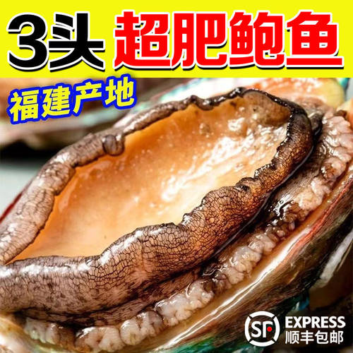 【特大号】鲜活鲍鱼新鲜冷冻鲍鱼批发非鲍鱼冷冻鲍鱼鲍鱼新鲜大号