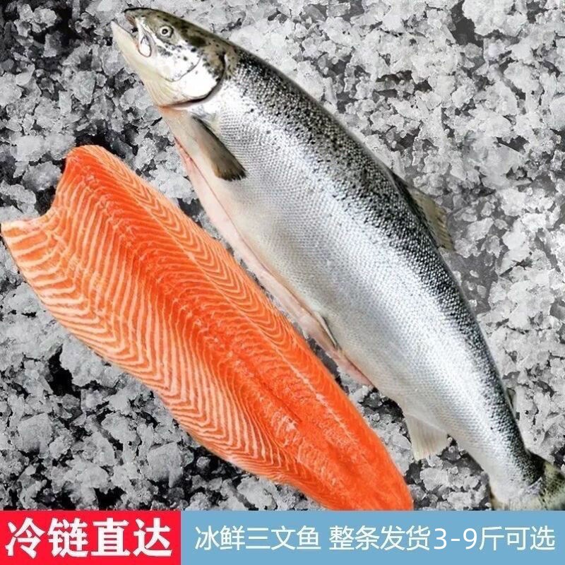 新疆新鲜三文鱼正宗国产整条冰鲜寿司生鱼片中段开片即食刺身包邮