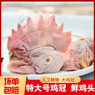 新鲜鸡冠子大公鸡特大号鸡头大冠子鸡头冷冻大鸡头烧烤专用商用