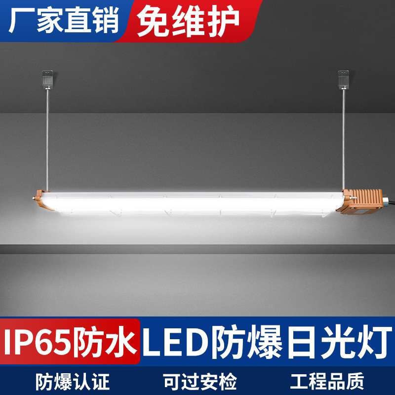 LED防爆灯防水防尘应急防爆单双管全套长条支架灯管带罩日光灯架