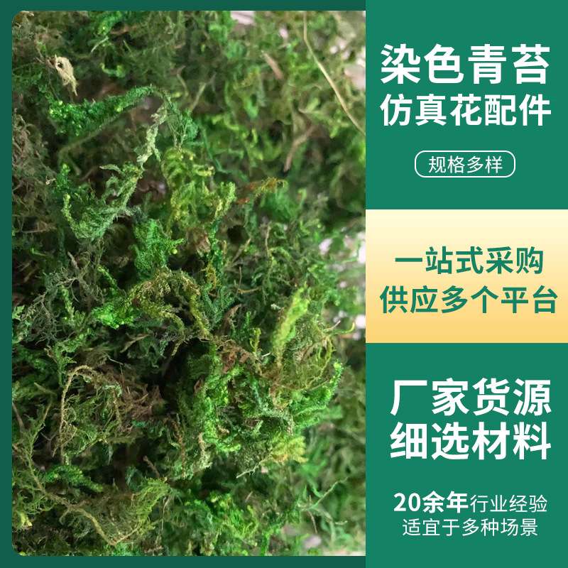 染色青苔仿真花配件天然苔藓微景观插花配饰盆景盆栽造景用干青苔