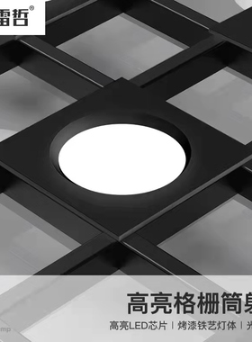 方形双头筒灯led格栅灯嵌入式服装店商场商用吊顶斗胆灯cob射灯