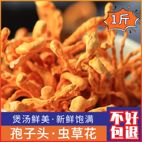 新鲜干货精选天然无硫大粒孢子
