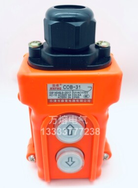高品质COB-31 COP -31 TNHA1-31电动葫芦起重机行车三相按钮开关