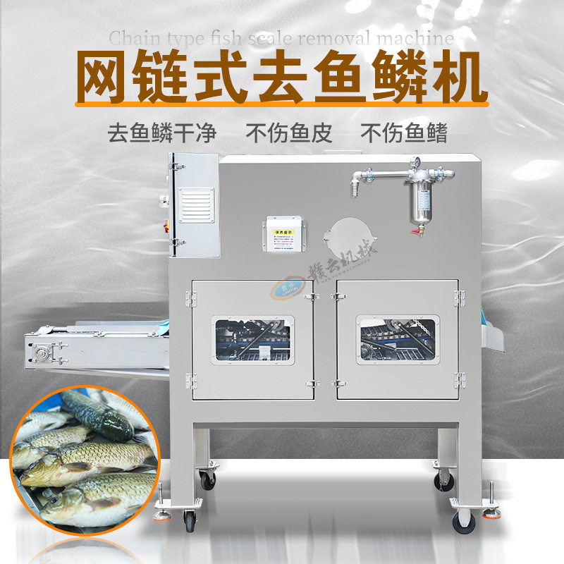 网链式高压去鳞机  鱼类加工设备  海鱼去鳞机器