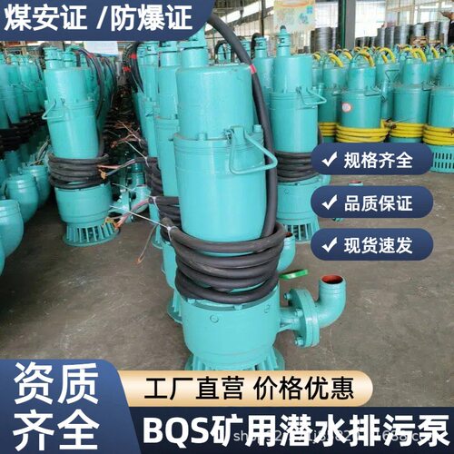380v煤矿矿用BQS2-55/N三