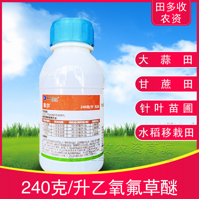 果尔24%乙氧氟草醚针叶苗圃大蒜甘蔗水稻移栽田一年生杂草除草剂
